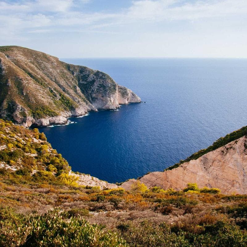 Plakat A3 – kolekcja zimowa