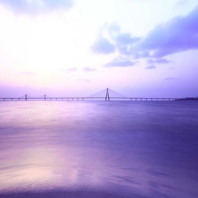 Skarpety bambusowe (5-pack)