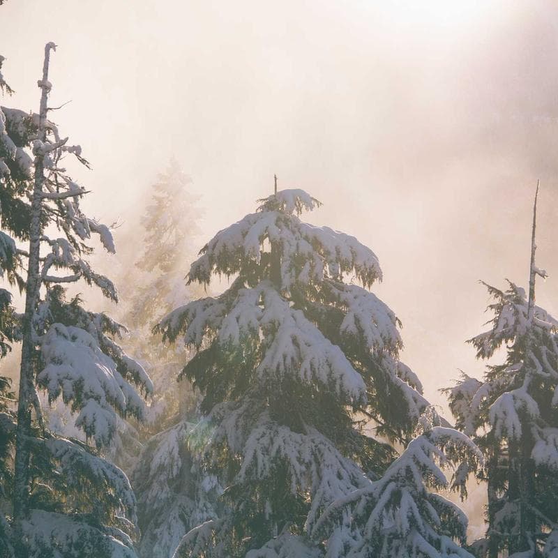 Skarpety kolorowe (3-pack)